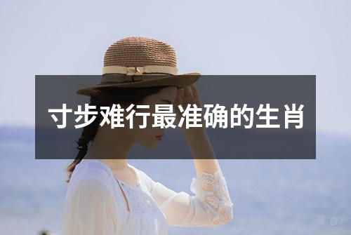 寸步难行最准确的生肖
