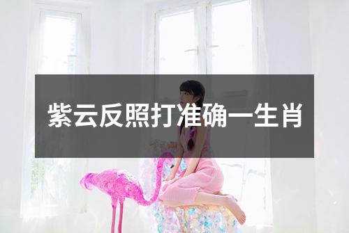 紫云反照打准确一生肖
