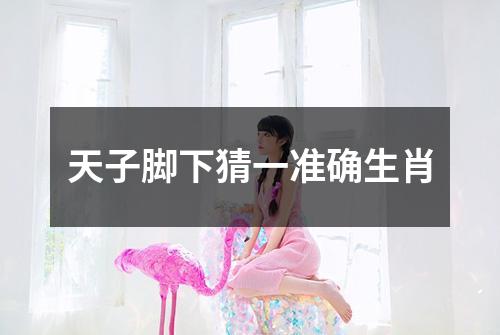 天子脚下猜一准确生肖