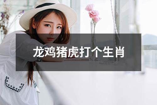 龙鸡猪虎打个生肖