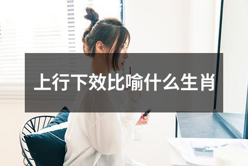 上行下效比喻什么生肖