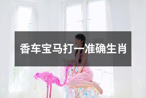 香车宝马打一准确生肖