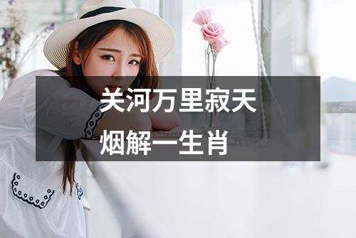 关河万里寂天烟解一生肖
